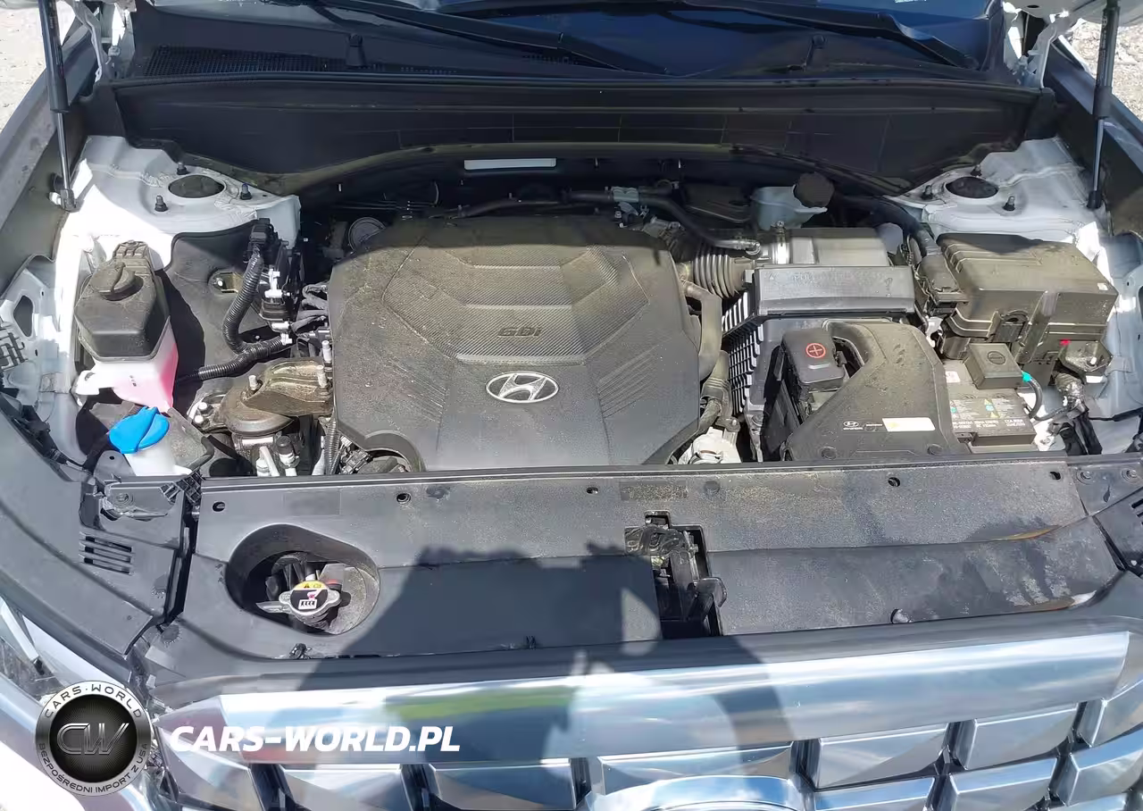 2024 Hyundai Palisade Calligraphy VIN:KM8R74GE3RU719577 - 10