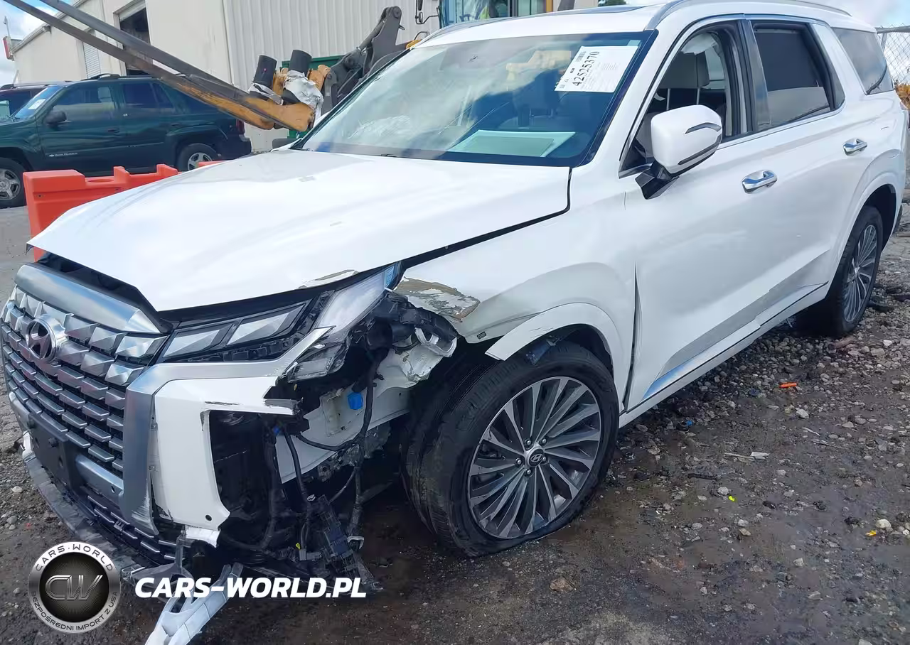 2024 Hyundai Palisade Calligraphy VIN:KM8R74GE3RU719577 - 6