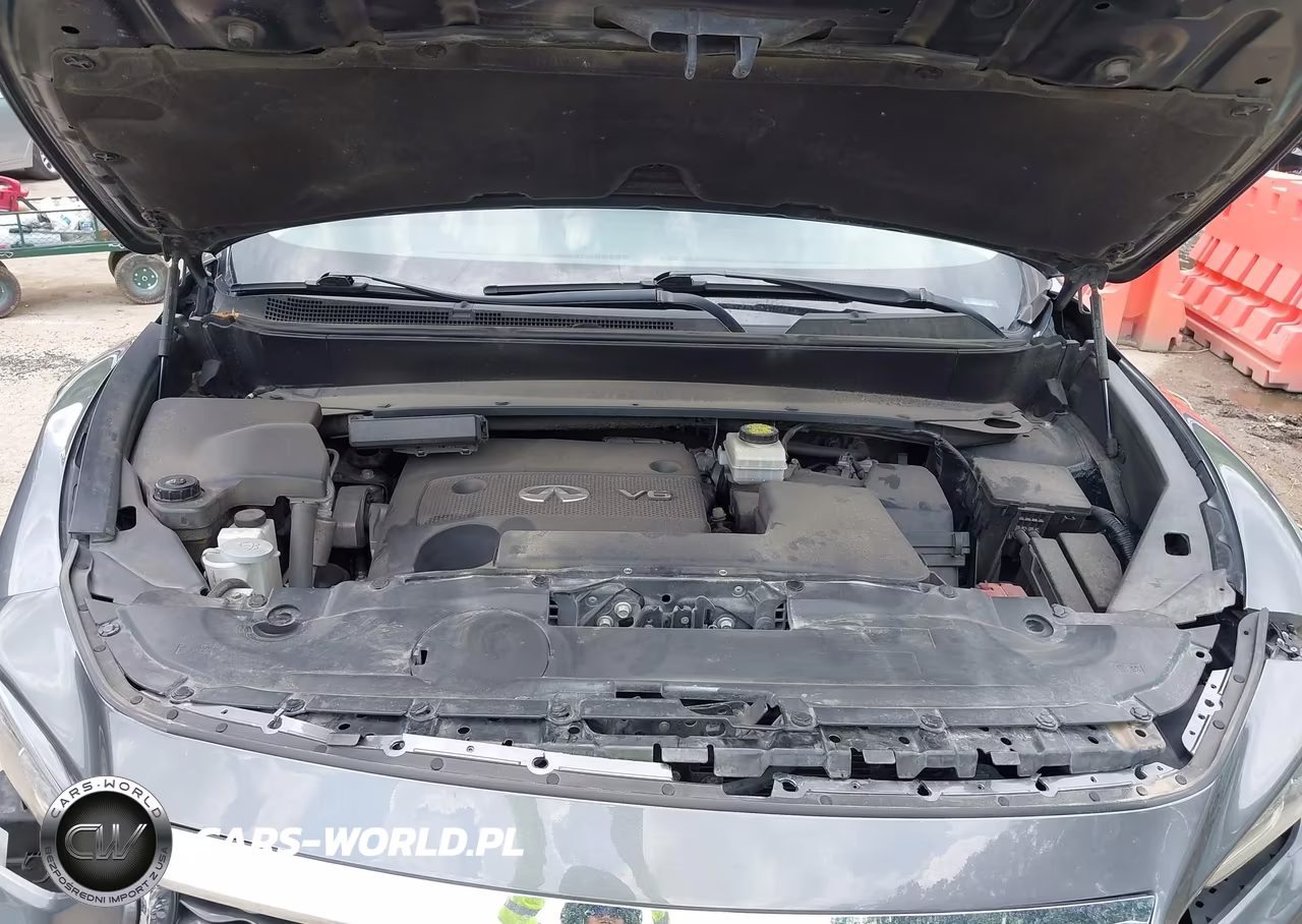 2016 Infiniti Qx60 VIN:5N1AL0MN9GC514466 - 10