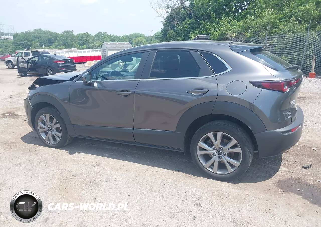 2021 Mazda Cx-30 Preferred VIN:3MVDMBCL0MM300310 - 3