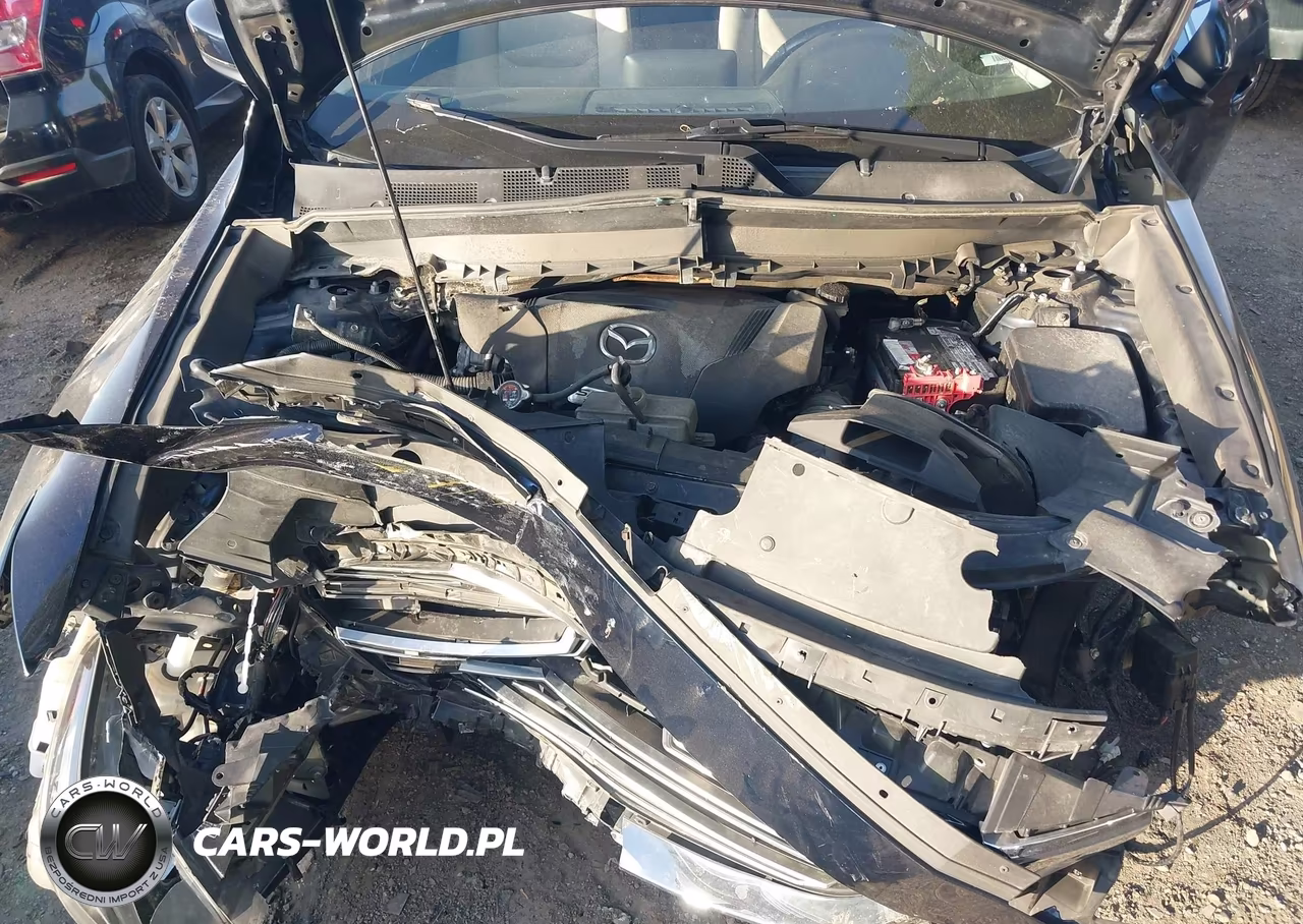 2018 Mazda Cx-9 Sport VIN:JM3TCABY7J0201755 - 10