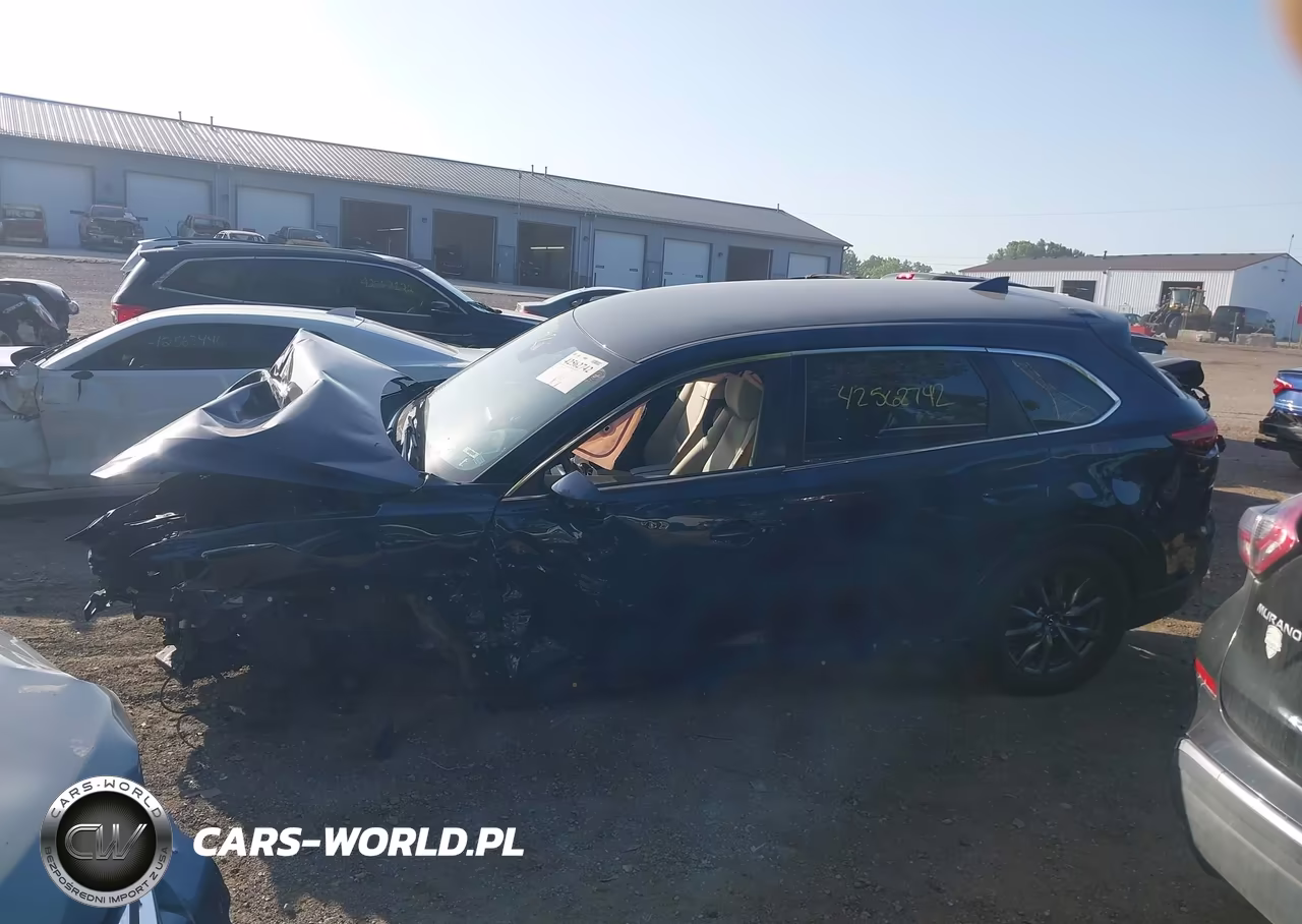 2018 Mazda Cx-9 Sport VIN:JM3TCABY7J0201755 - 14