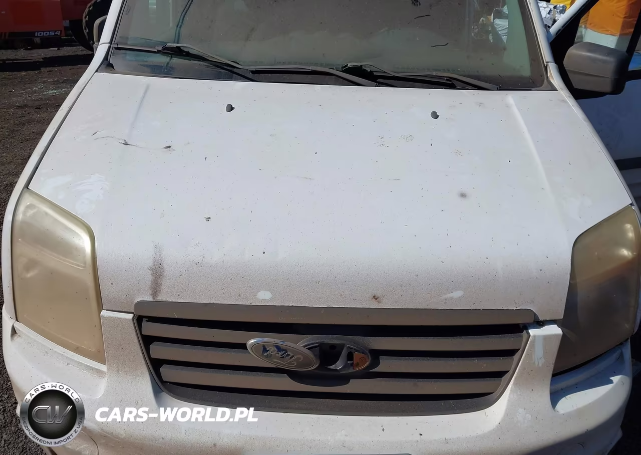 2010 Ford Transit Connect Xlt VIN:NM0LS7DN5AT014205 - 10