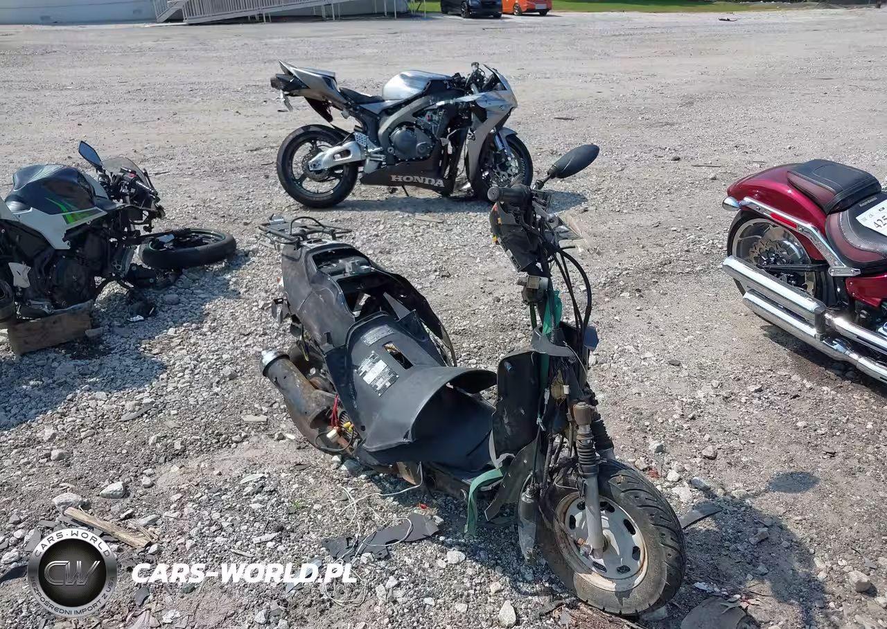 2020 Zhejang Magnum50