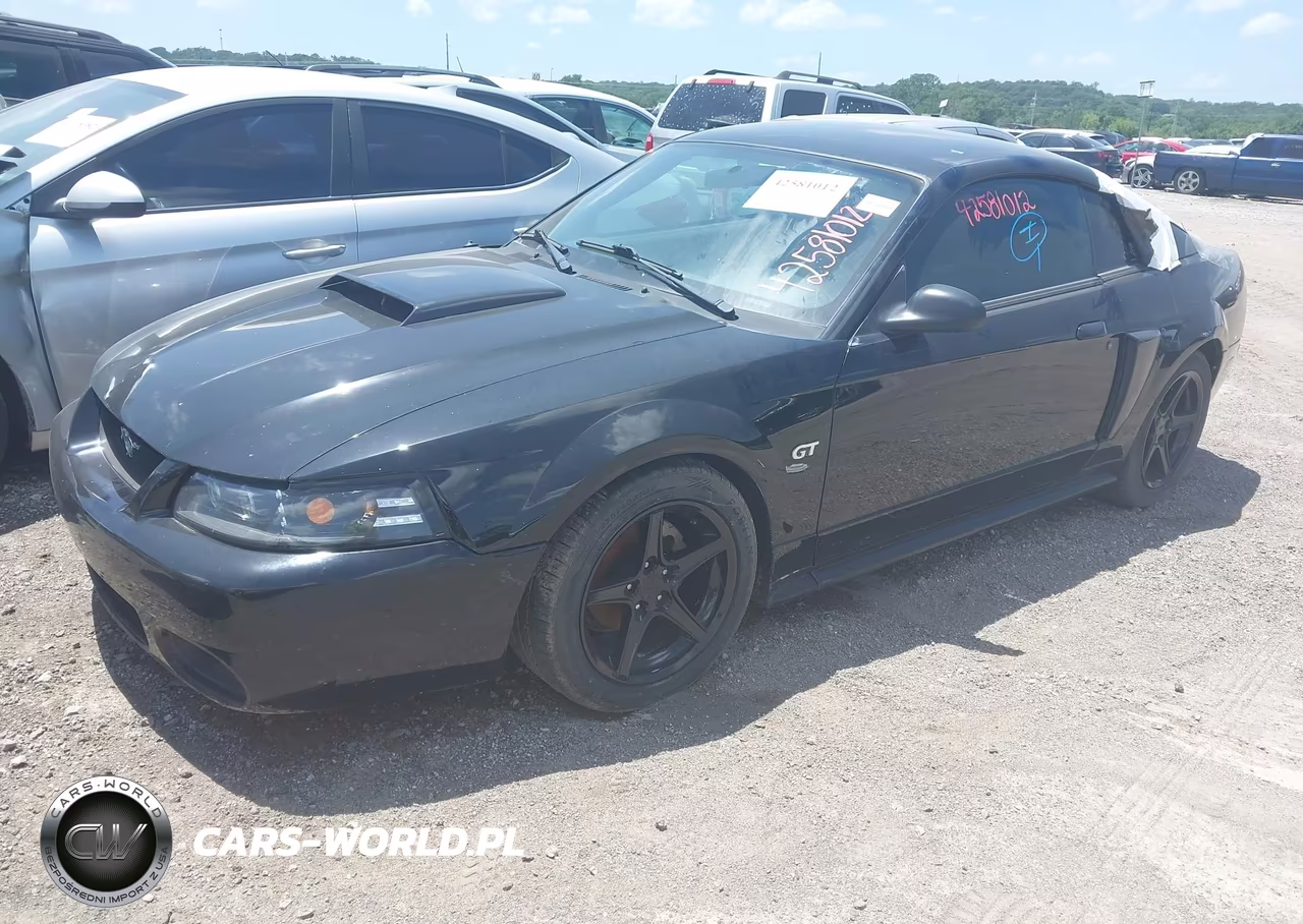 2003 Ford Mustang Gt VIN:1FAFP42X03F406021 - 2