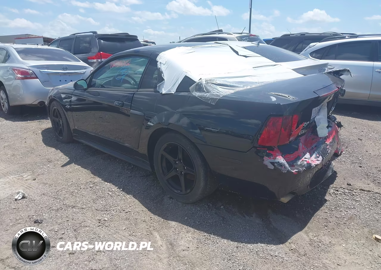 2003 Ford Mustang Gt VIN:1FAFP42X03F406021 - 3