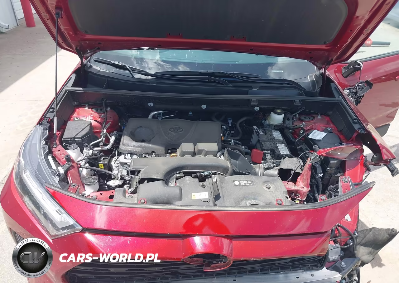 2024 Toyota Rav4 Xle VIN:2T3P1RFV4RW487635 - 10