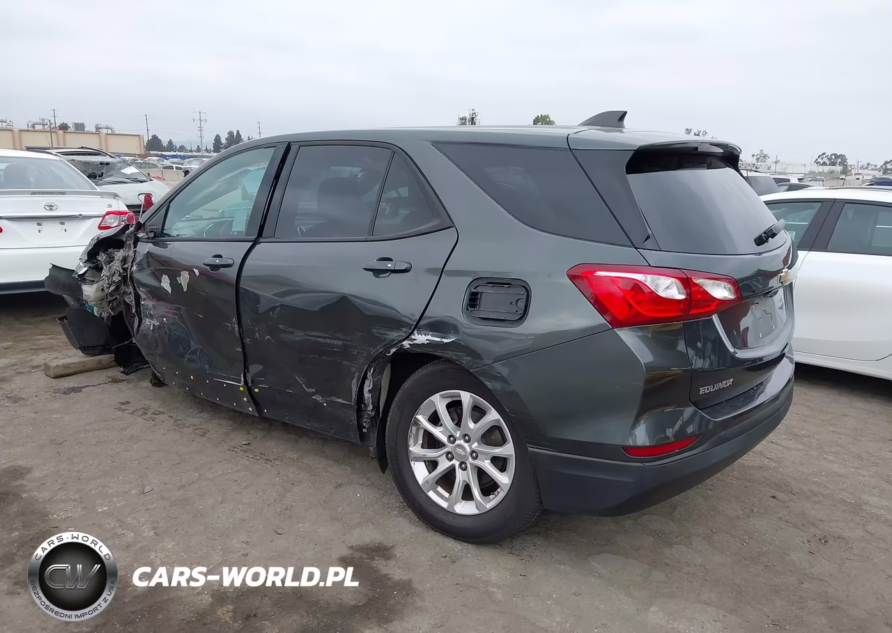 2019 Chevrolet Equinox Ls VIN:3GNAXHEV9KS506142 - 3