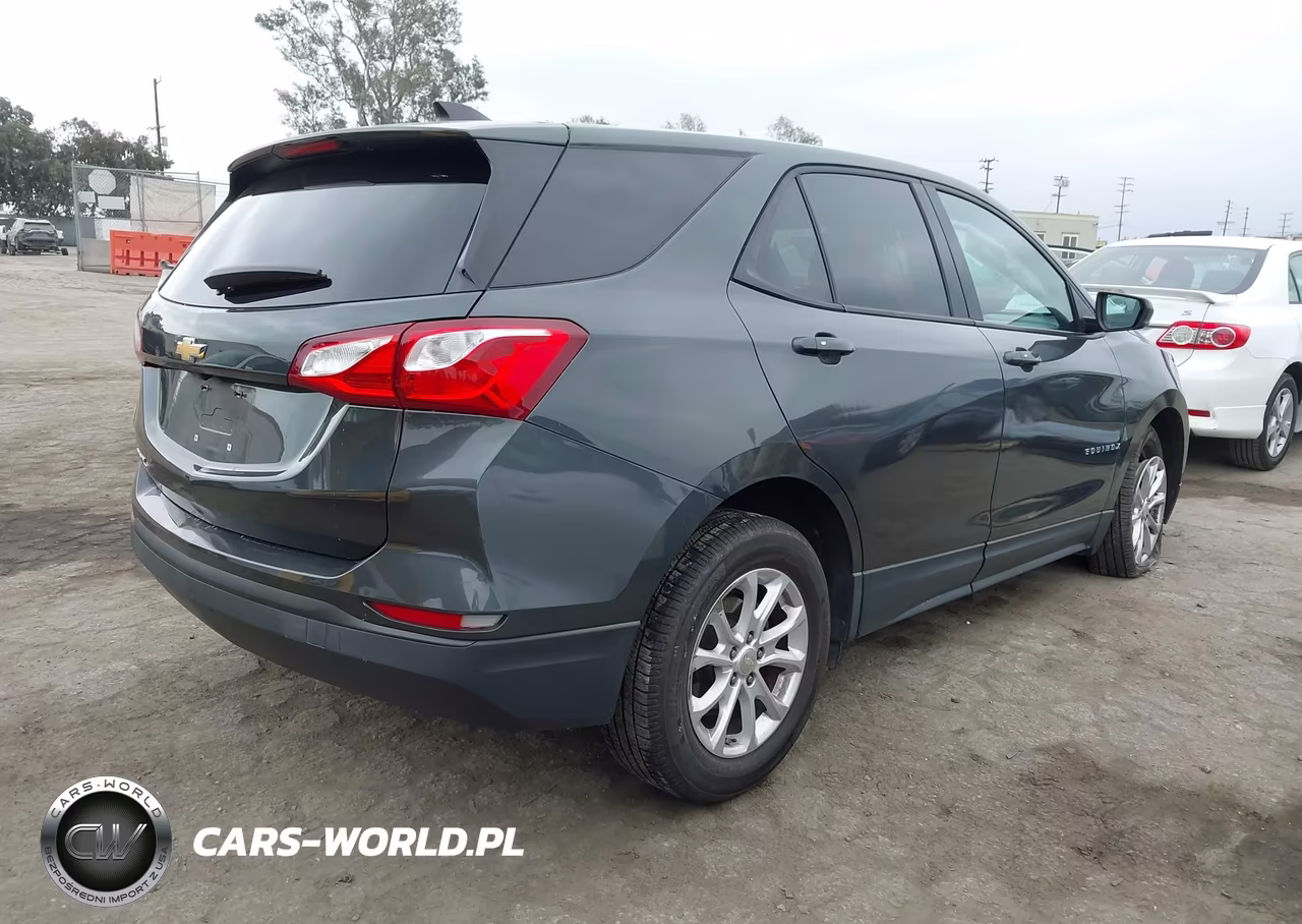 2019 Chevrolet Equinox Ls VIN:3GNAXHEV9KS506142 - 4
