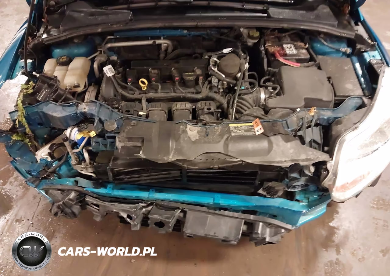2014 Ford Focus Se VIN:1FADP3F23EL369695 - 10