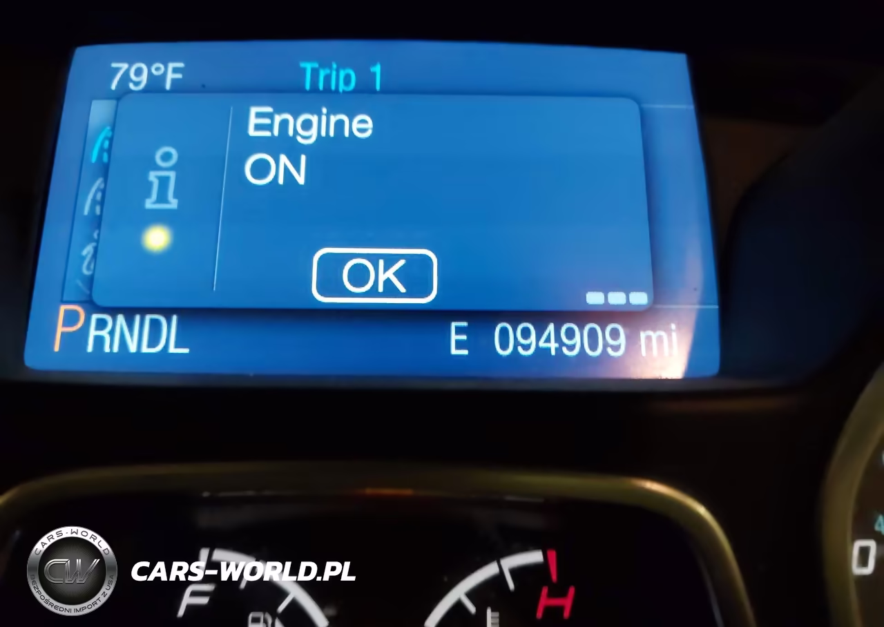 2014 Ford Focus Se VIN:1FADP3F23EL369695 - 16