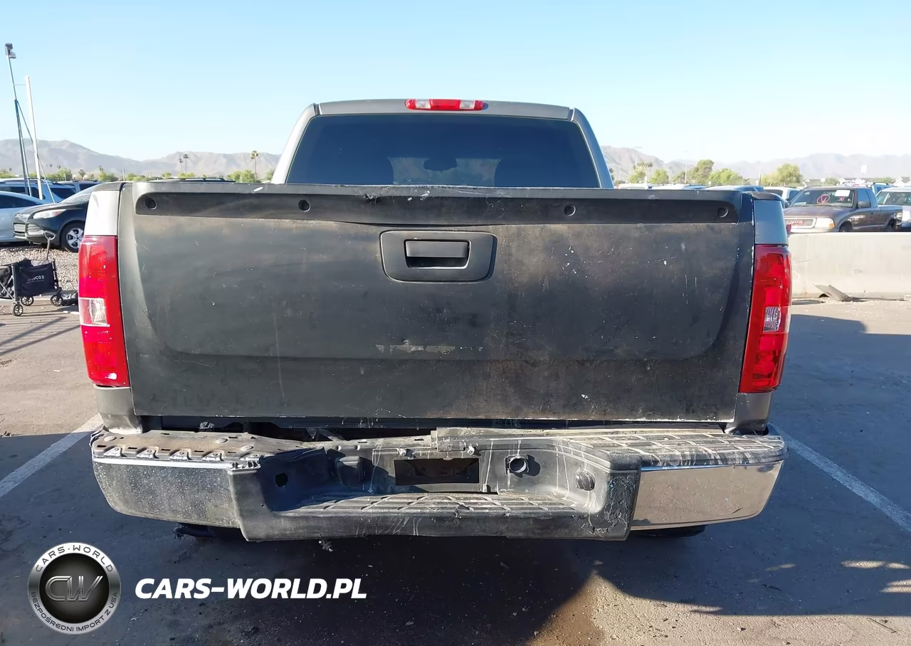 2009 Chevrolet Silverado 1500 Work Truck VIN:1GCEC19X39Z158425 - 17