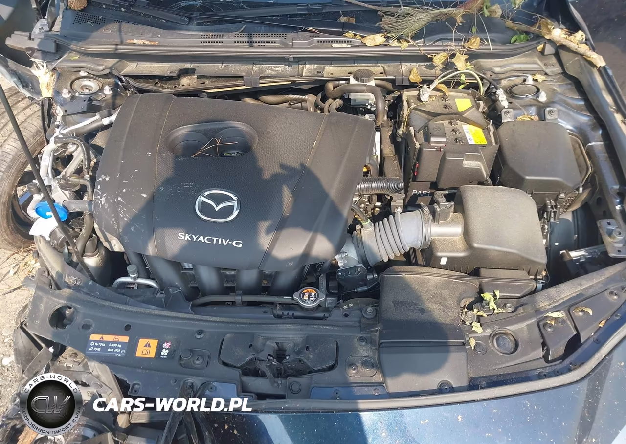 2020 Mazda Mazda3 Select Package VIN:JM1BPACL6L1170216 - 10