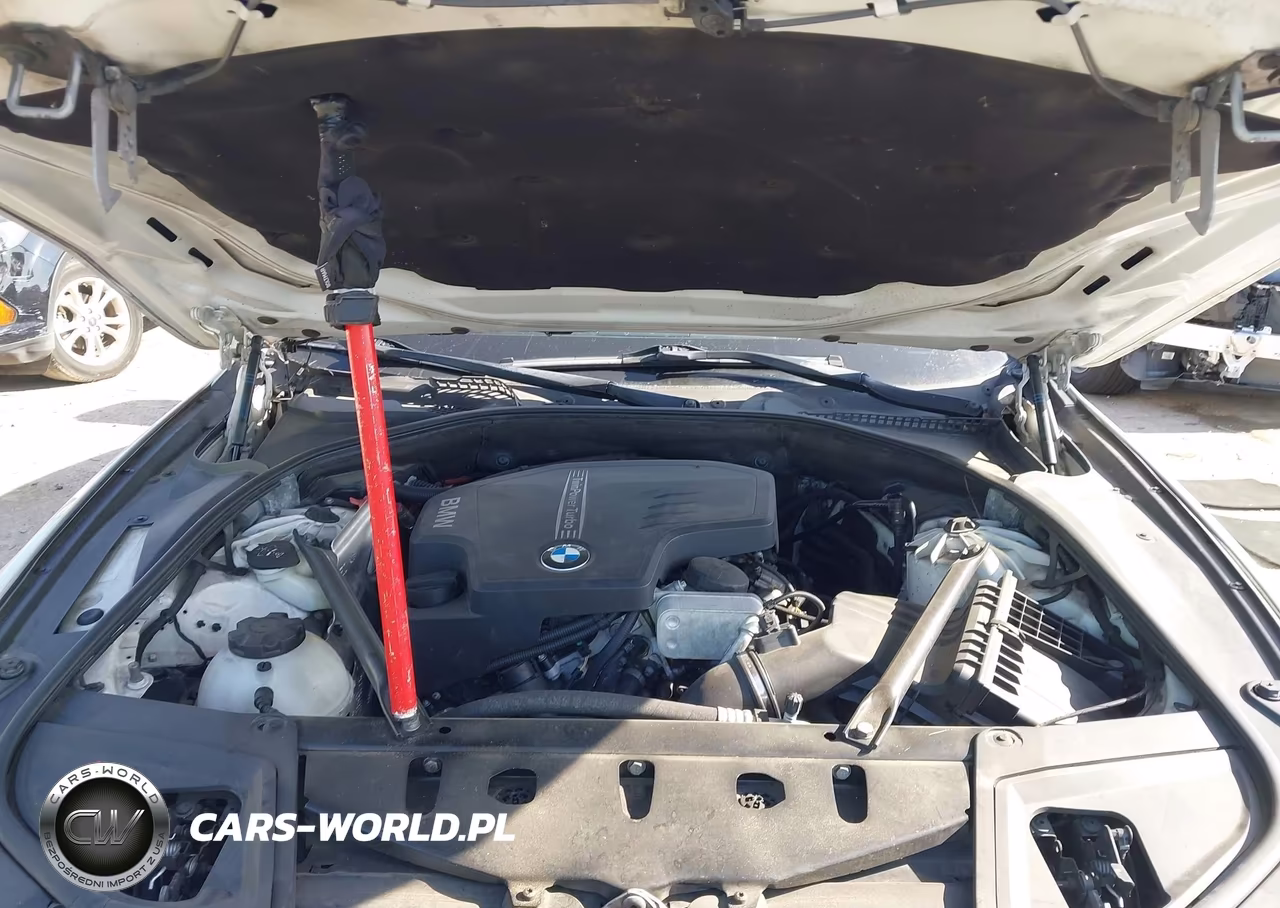 2013 BMW 528I VIN:WBAXG5C53DD233641 - 10