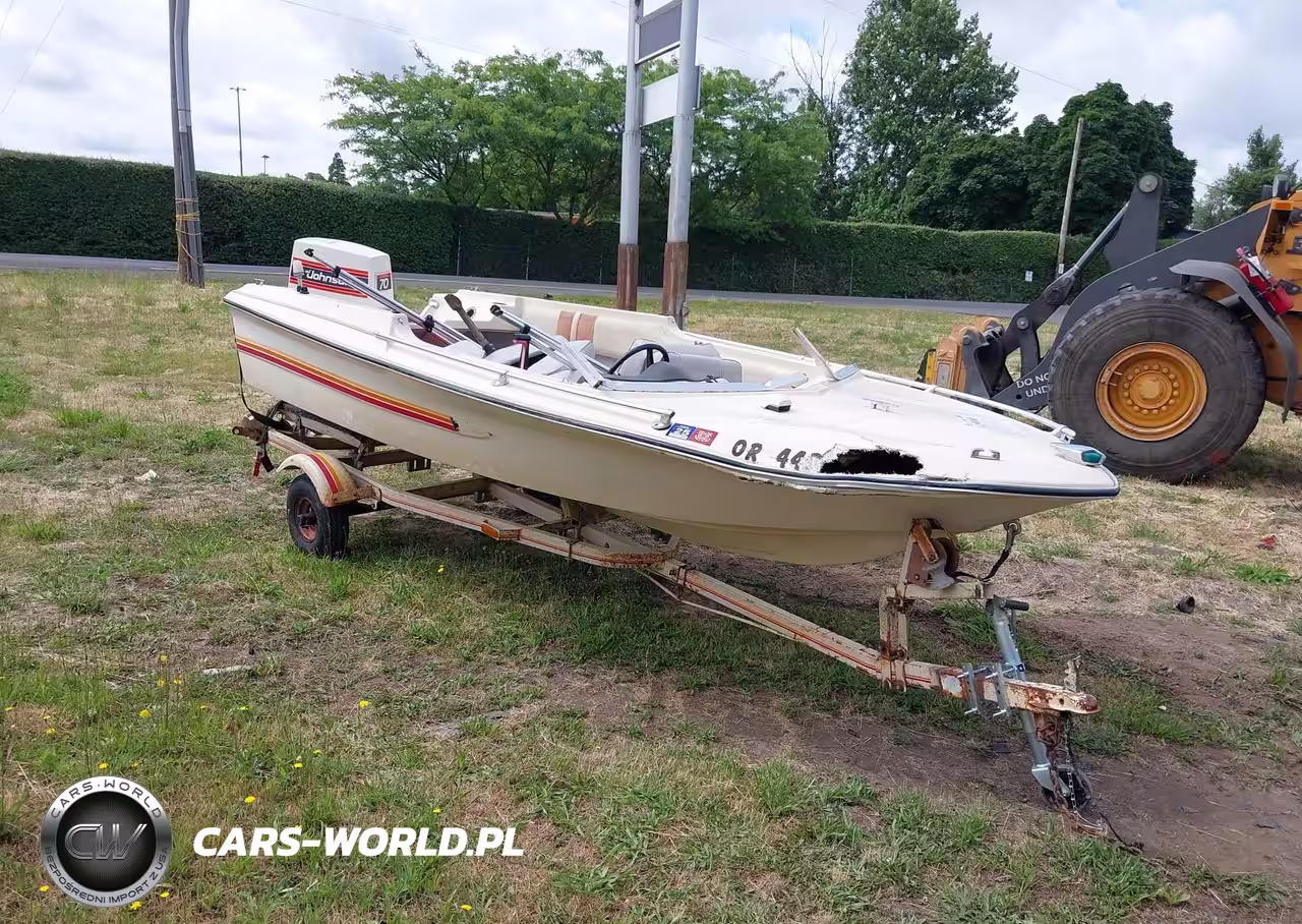 1972 * Glass Arrow Panther