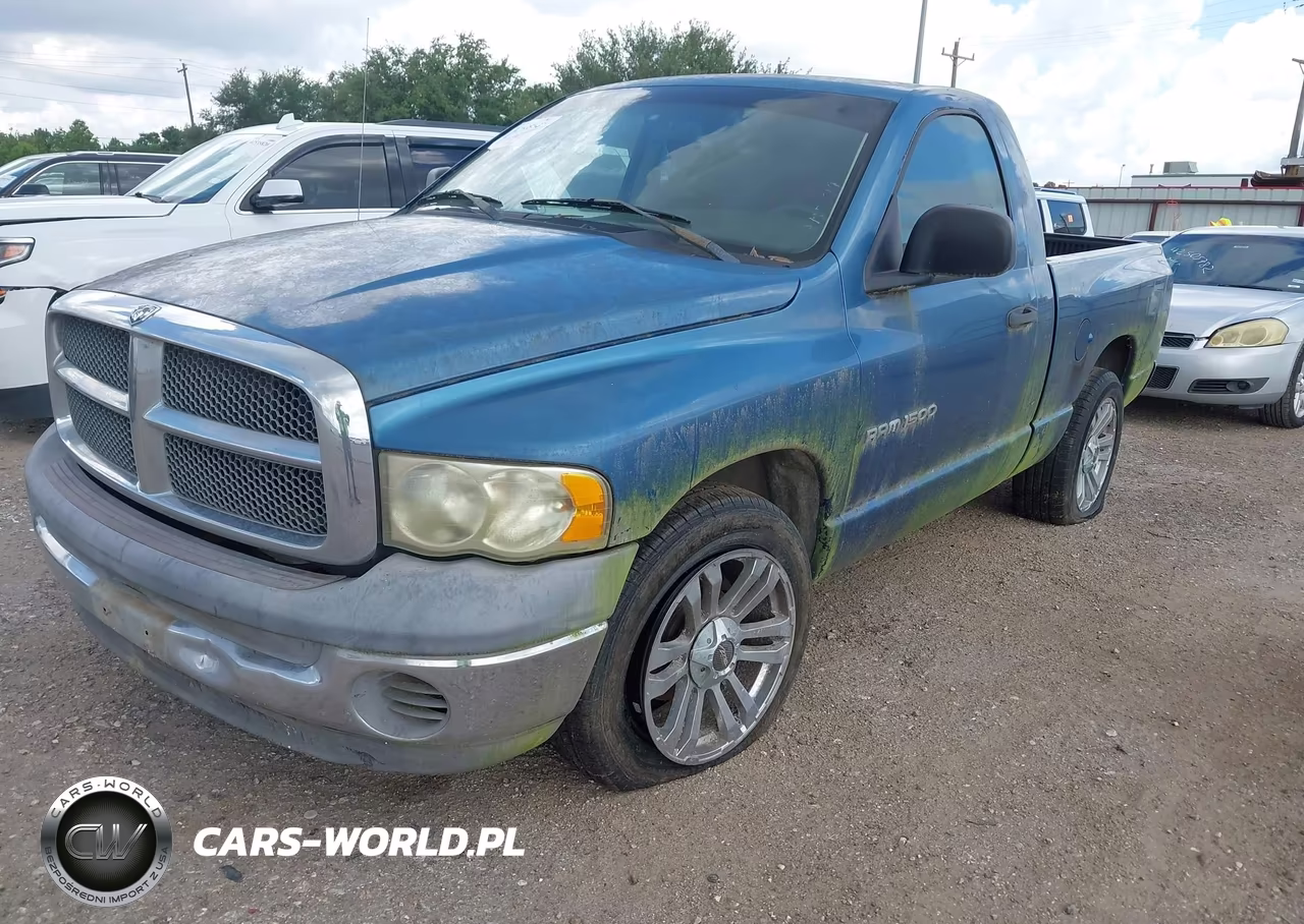 2002 Dodge Ram 1500 VIN:1D7HA16K12J132525 - 2