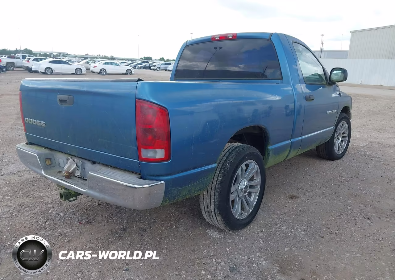 2002 Dodge Ram 1500 VIN:1D7HA16K12J132525 - 4