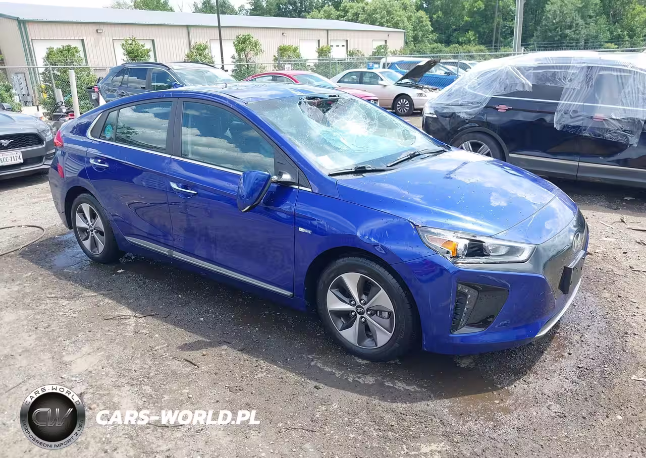 2019 Hyundai Ioniq Electric Limited