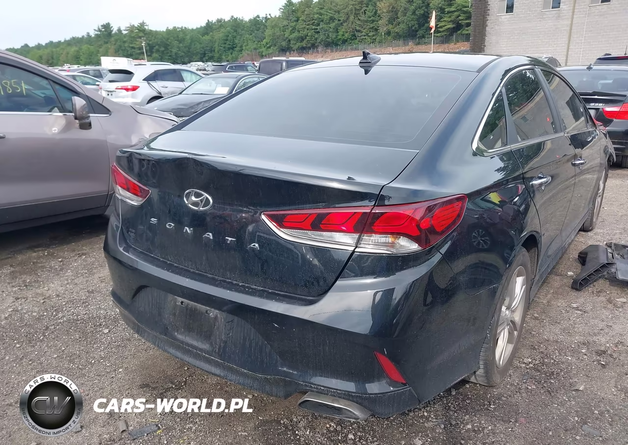 2018 Hyundai Sonata Sel VIN:5NPE34AF8JH645782 - 17