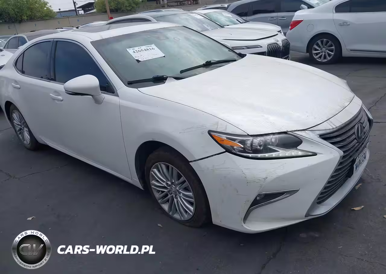 LEXUS