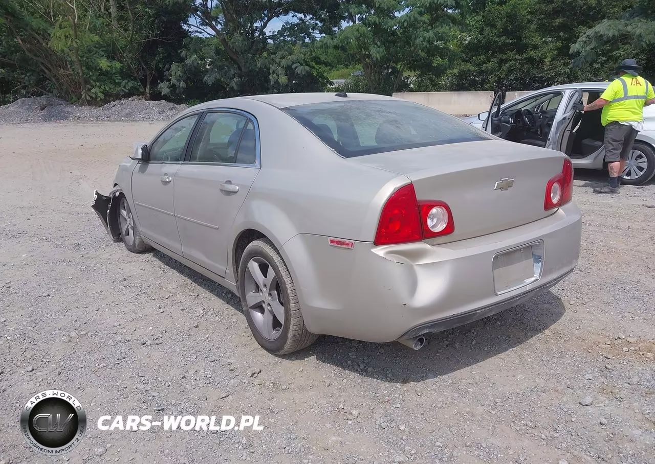 2010 Chevrolet Malibu Lt VIN:1G1ZC5EBXAF226317 - 3