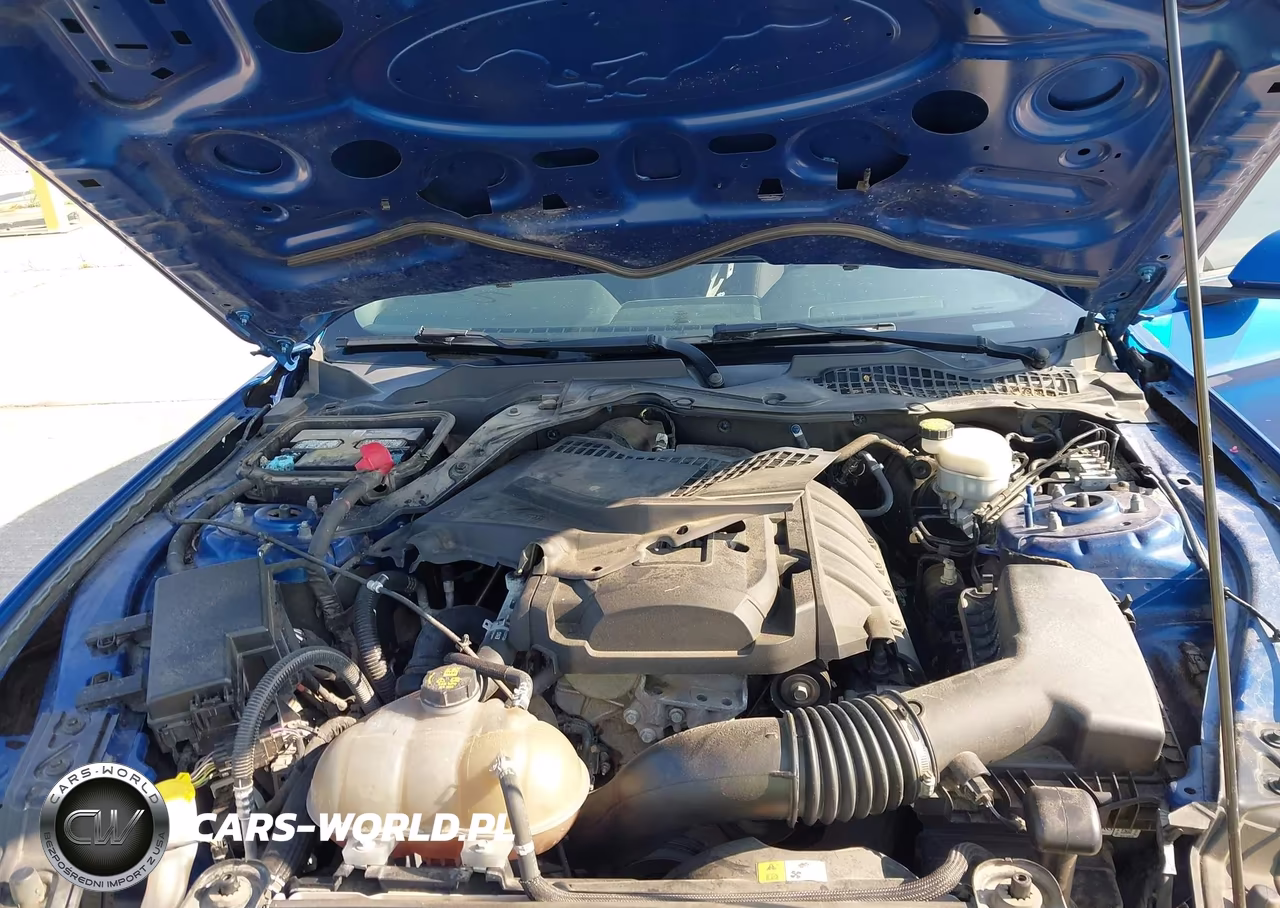 2017 Ford Mustang Ecoboost VIN:1FA6P8TH4H5335546 - 10