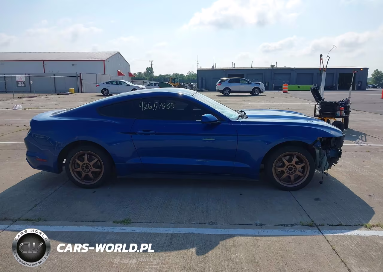 2017 Ford Mustang Ecoboost VIN:1FA6P8TH4H5335546 - 14
