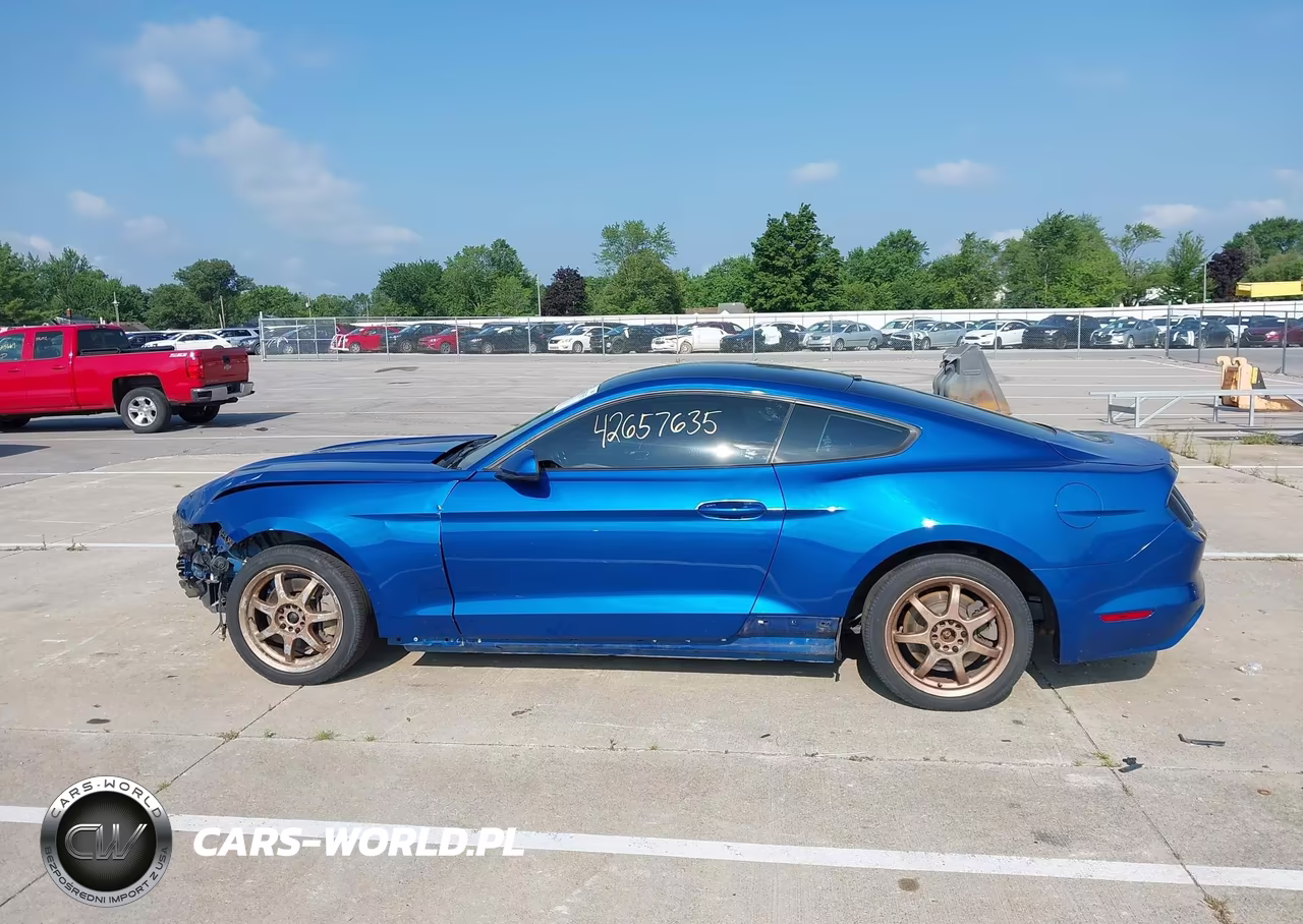 2017 Ford Mustang Ecoboost VIN:1FA6P8TH4H5335546 - 15