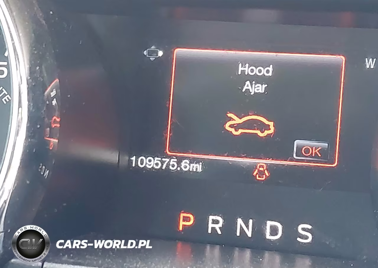 2017 Ford Mustang Ecoboost VIN:1FA6P8TH4H5335546 - 16