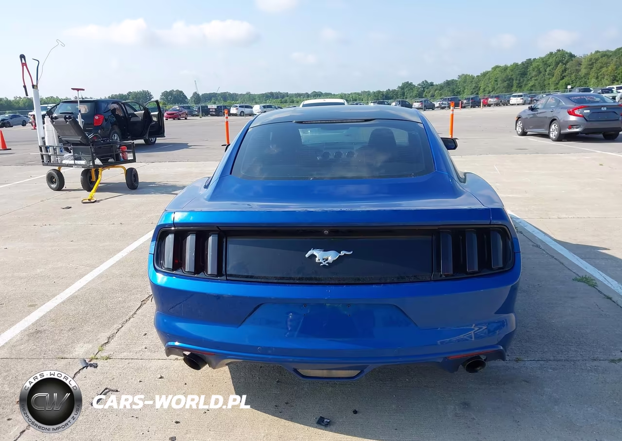 2017 Ford Mustang Ecoboost VIN:1FA6P8TH4H5335546 - 17