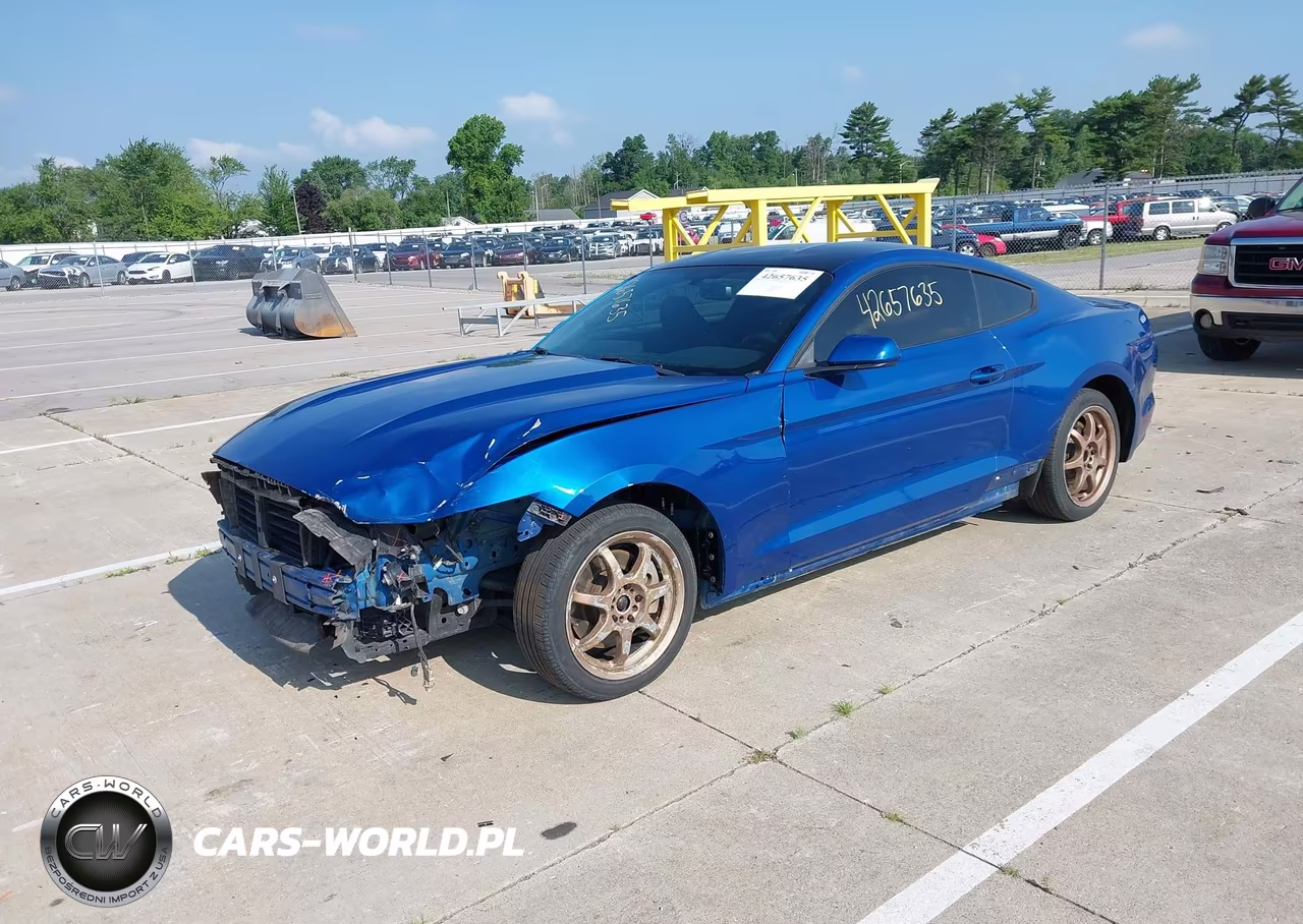 2017 Ford Mustang Ecoboost VIN:1FA6P8TH4H5335546 - 2