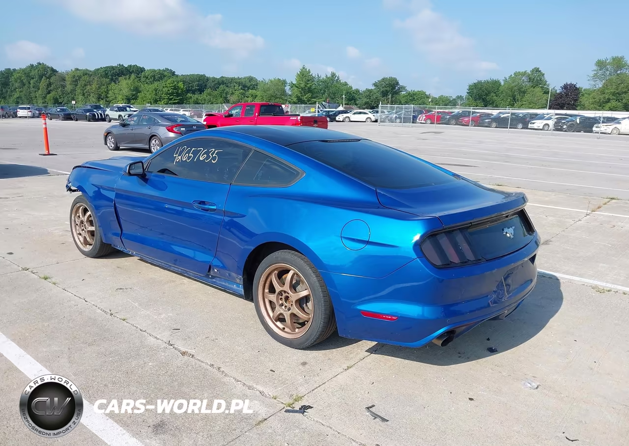 2017 Ford Mustang Ecoboost VIN:1FA6P8TH4H5335546 - 3