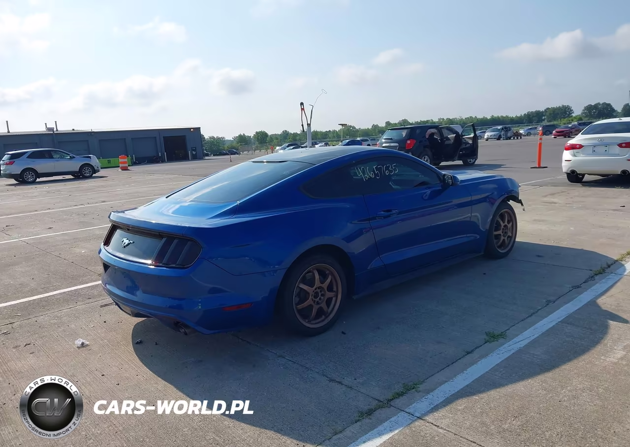 2017 Ford Mustang Ecoboost VIN:1FA6P8TH4H5335546 - 4