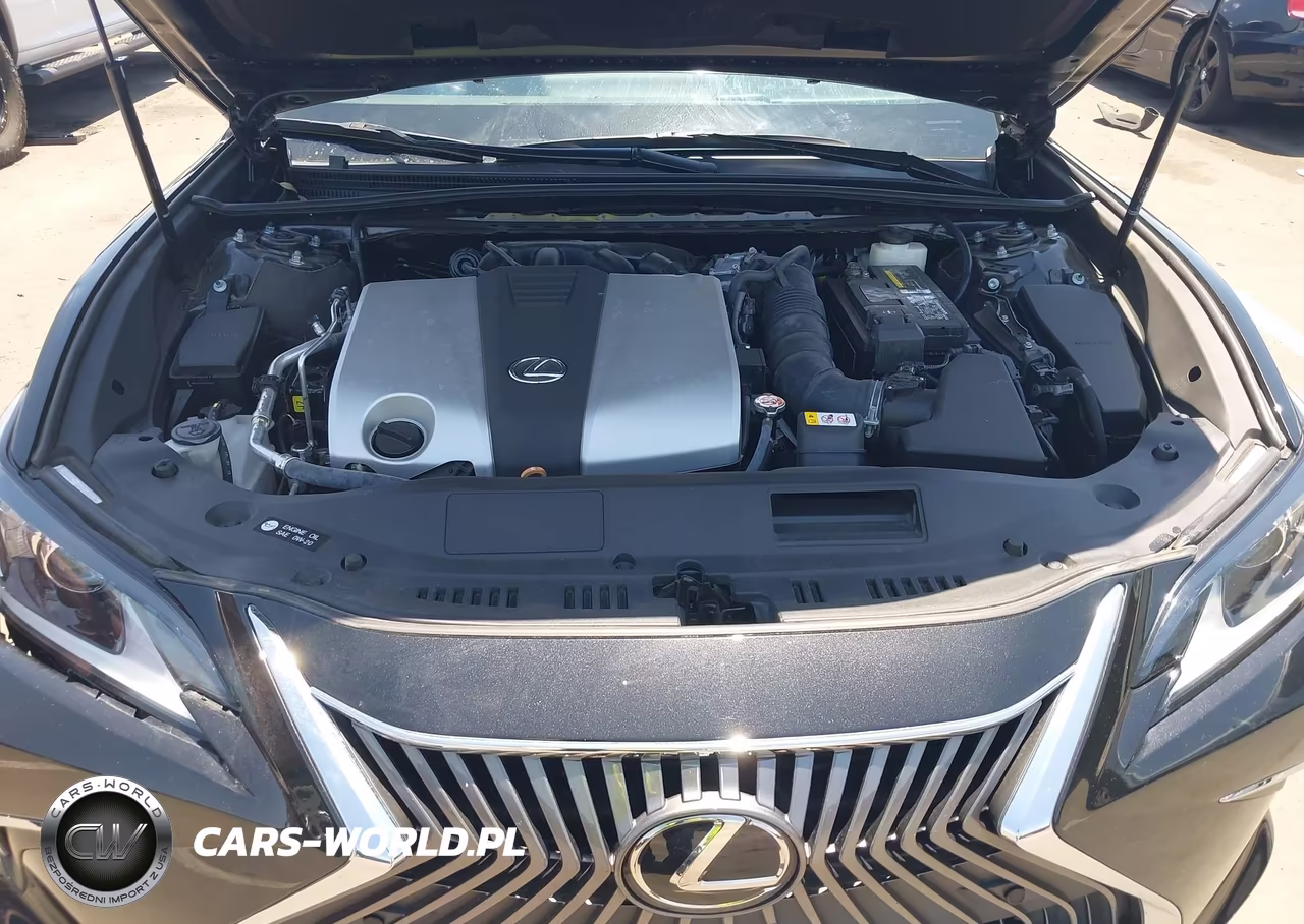 2019 Lexus Es 350 VIN:58ABZ1B19KU022959 - 10