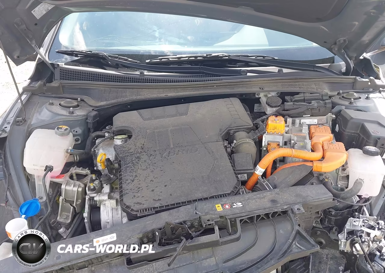 2023 Hyundai Elantra Hybrid Limited VIN:KMHLN4AJ4PU081936 - 10
