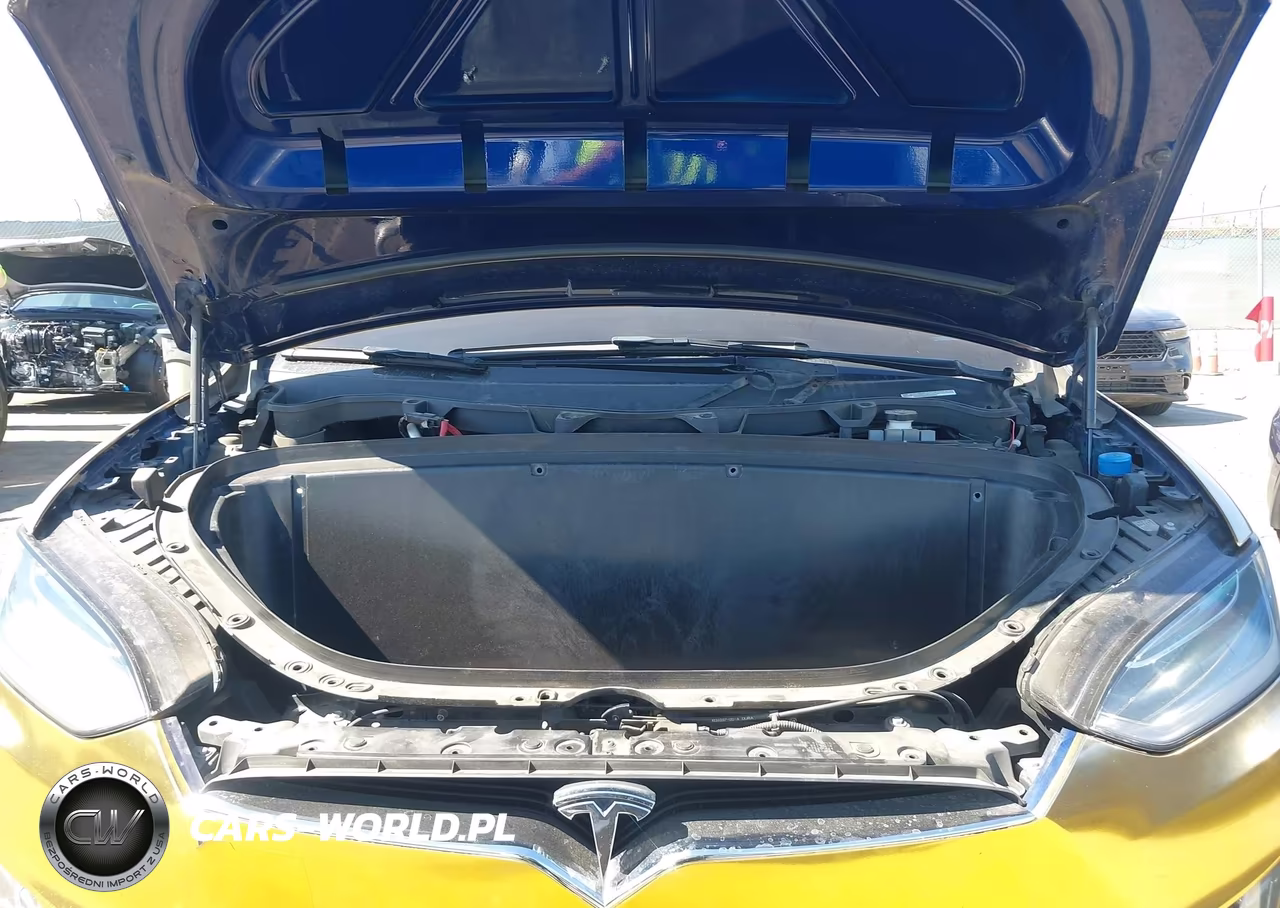 2017 Tesla Model X 100D-75D-90D VIN:5YJXCDE29HF067037 - 10