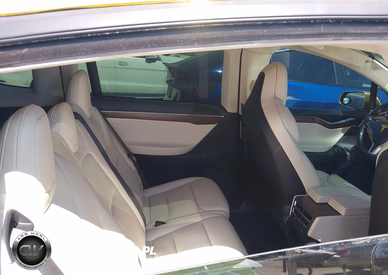 2017 Tesla Model X 100D-75D-90D VIN:5YJXCDE29HF067037 - 8