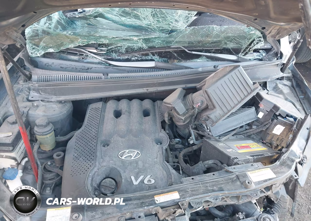 2007 Hyundai Santa Fe Gls VIN:5NMSG13D97H089585 - 10
