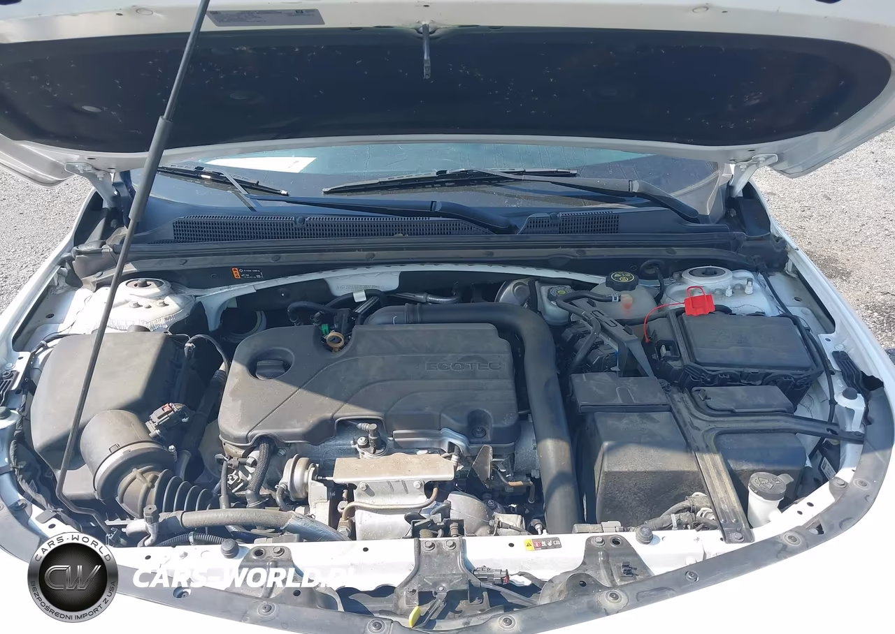 2020 Chevrolet Malibu Fwd Lt VIN:1G1ZD5ST1LF098739 - 10