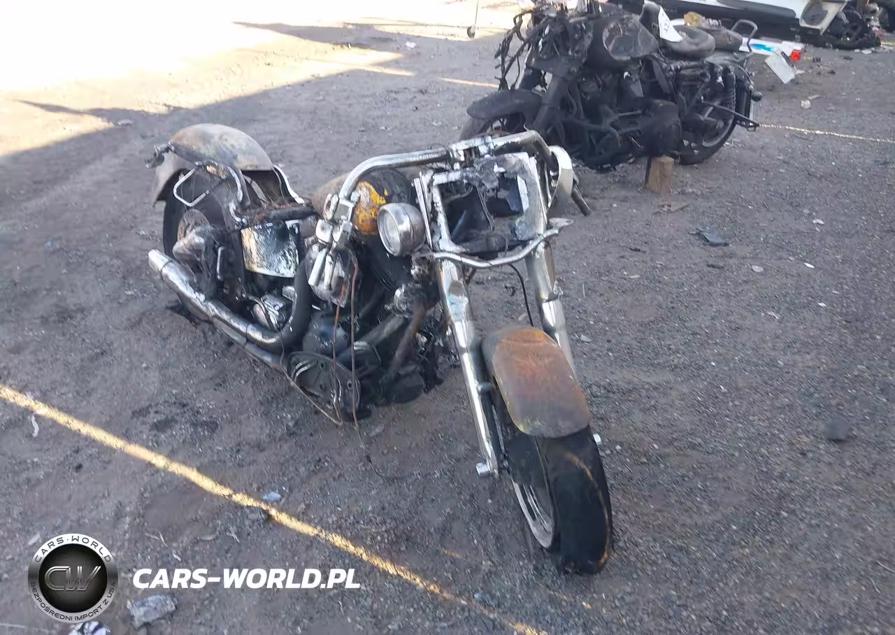 2001 Harley-Davidson Flstfi