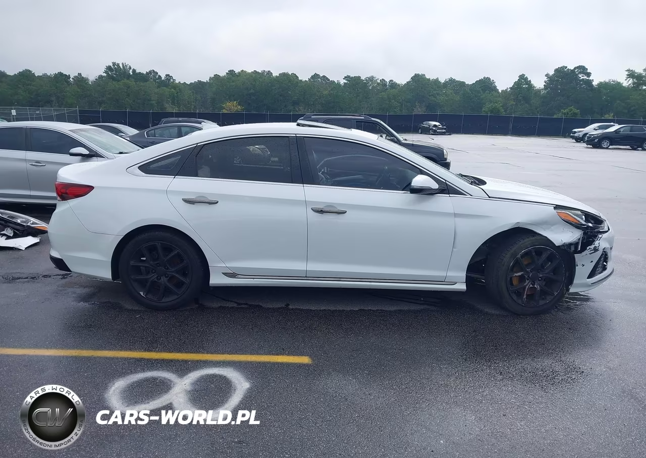 2018 Hyundai Sonata Sport-Limited-Sel VIN:5NPE34AB9JH679565 - 14