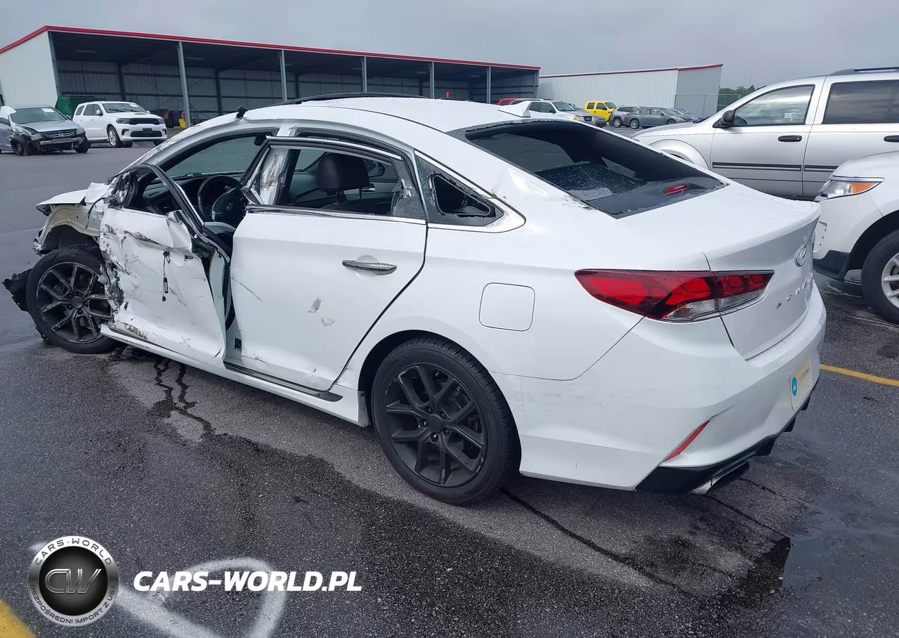 2018 Hyundai Sonata Sport-Limited-Sel VIN:5NPE34AB9JH679565 - 3