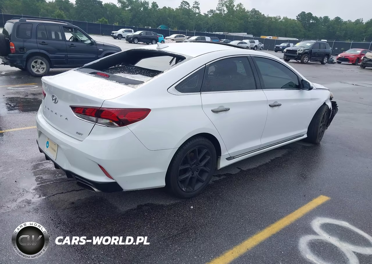 2018 Hyundai Sonata Sport-Limited-Sel VIN:5NPE34AB9JH679565 - 4