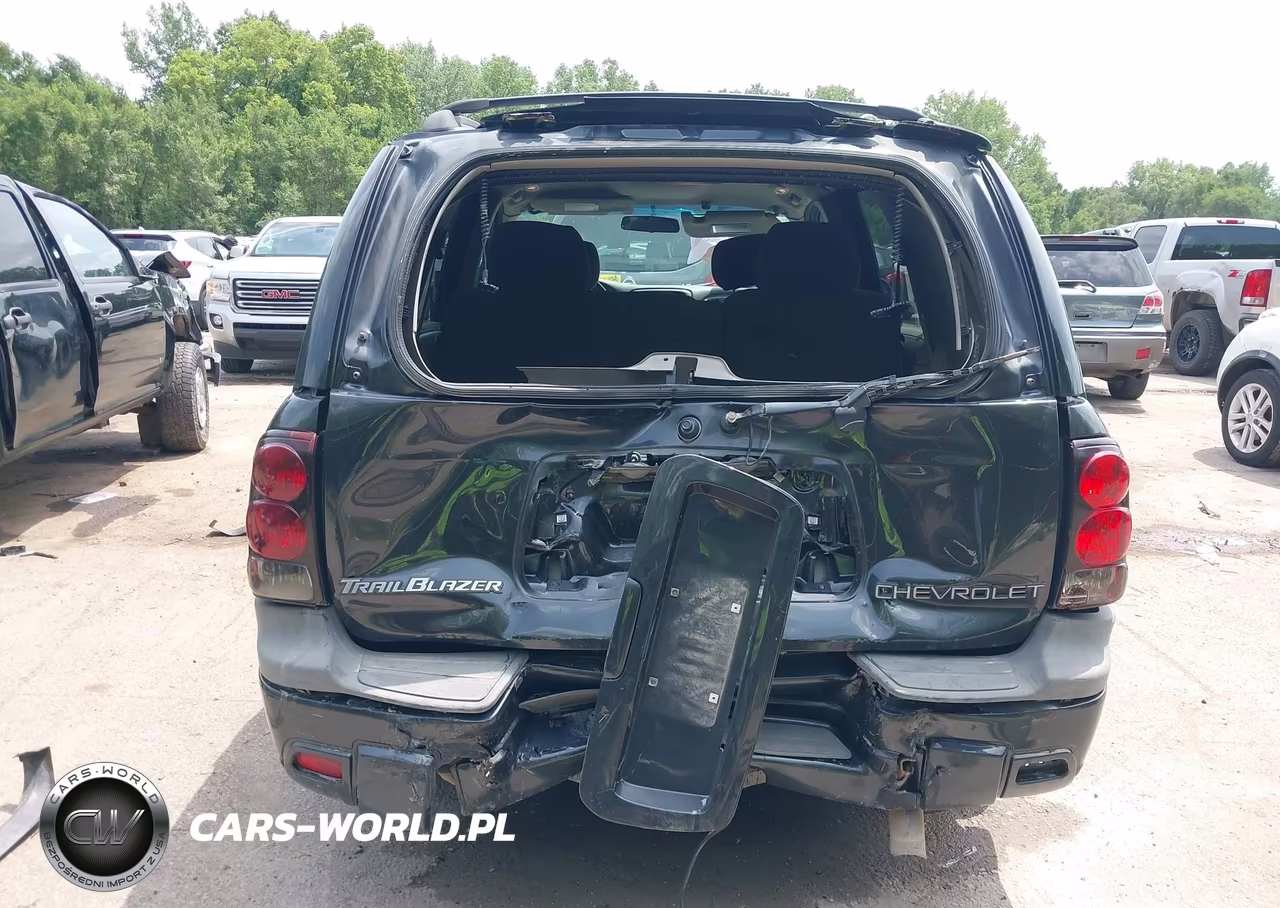 2004 Chevrolet Trailblazer Ls VIN:1GNDT13SX42117680 - 17