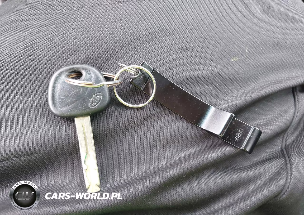 2015 Kia Soul VIN:KNDJN2A22F7199960 - 11