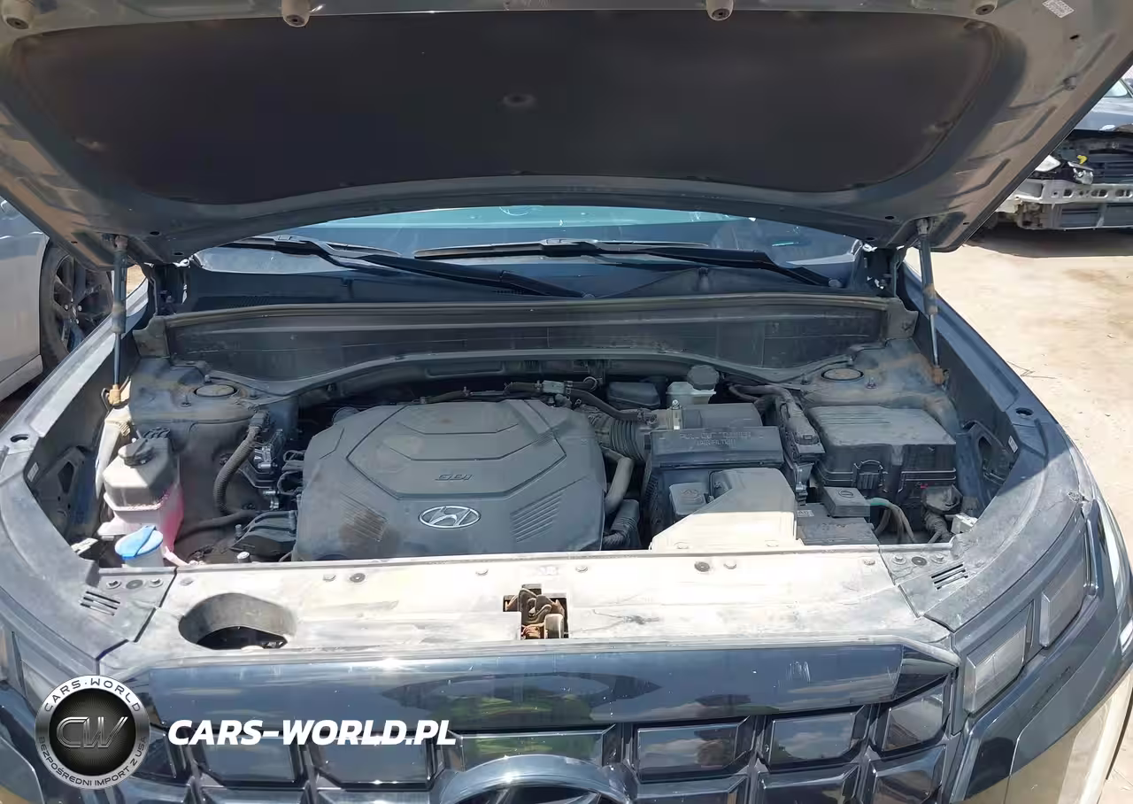 2023 Hyundai Palisade Sel VIN:KM8R44GE9PU613687 - 10