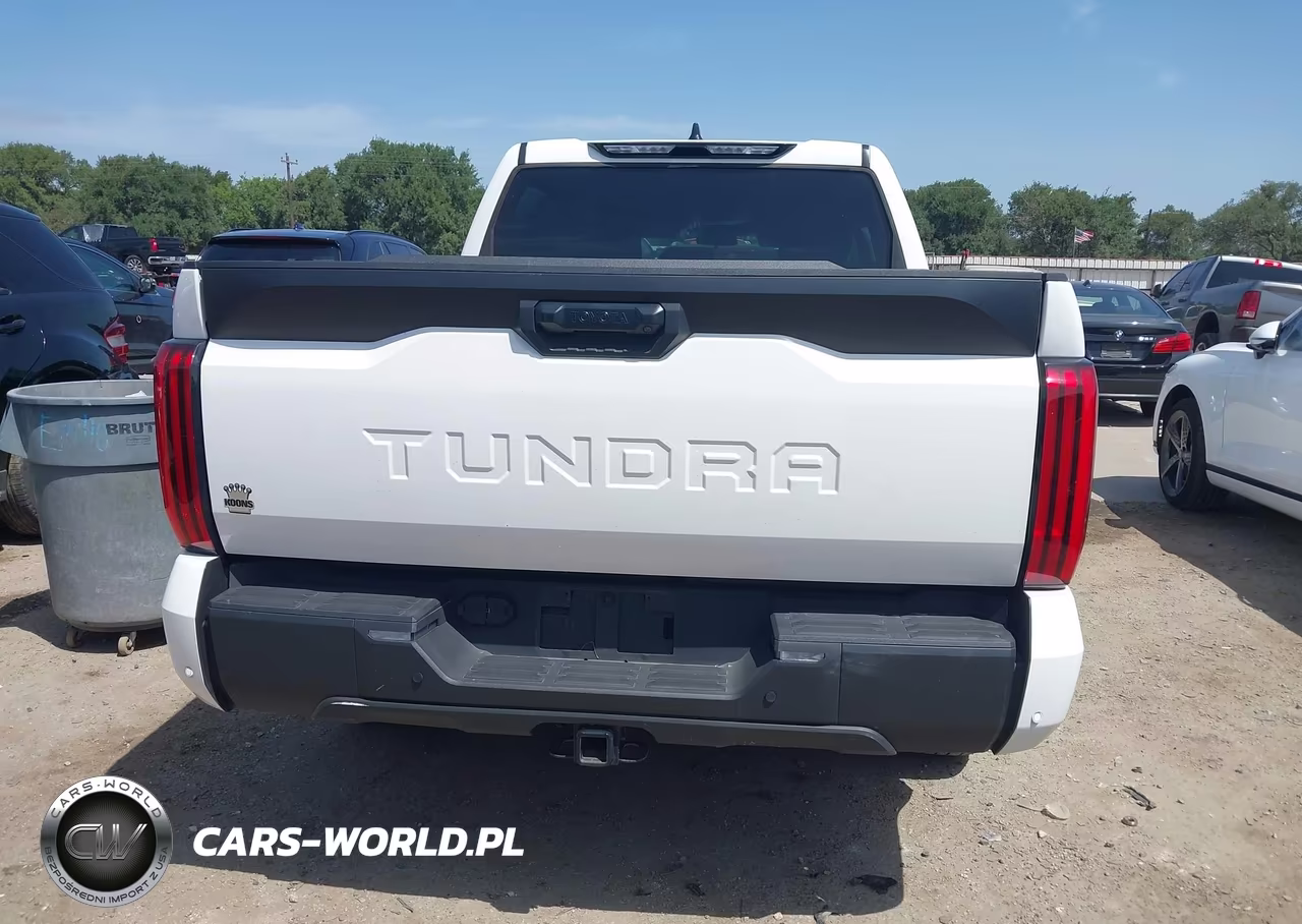 2023 Toyota Tundra Sr5 VIN:5TFLA5AB4PX021409 - 16