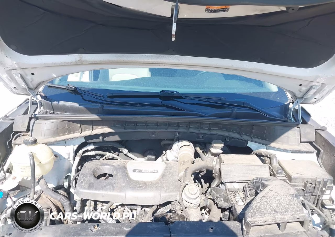 2017 Hyundai Tucson Sport VIN:KM8J3CA25HU330276 - 10