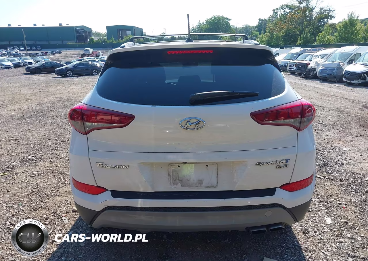 2017 Hyundai Tucson Sport VIN:KM8J3CA25HU330276 - 17