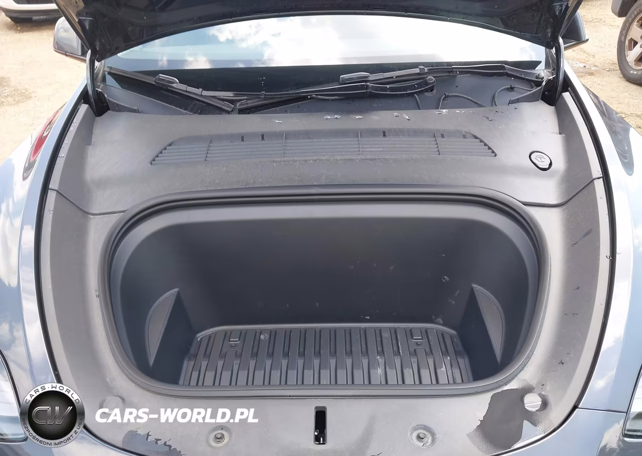 2024 Tesla Model Y Long Range Dual Motor All-Wheel Drive VIN:7SAYGDEE2RA273241 - 10